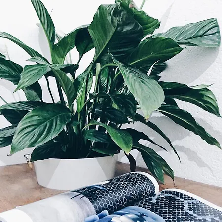 Bed & Breakfast Casa Anna