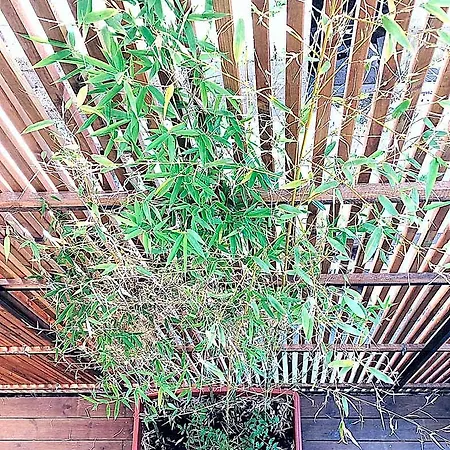 Casa Anna 3* Ilbono
