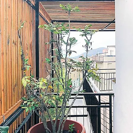 לינה וארוחת בוקר Casa Anna Ilbono