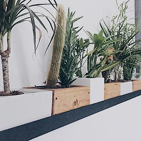 Casa Anna Couette-café